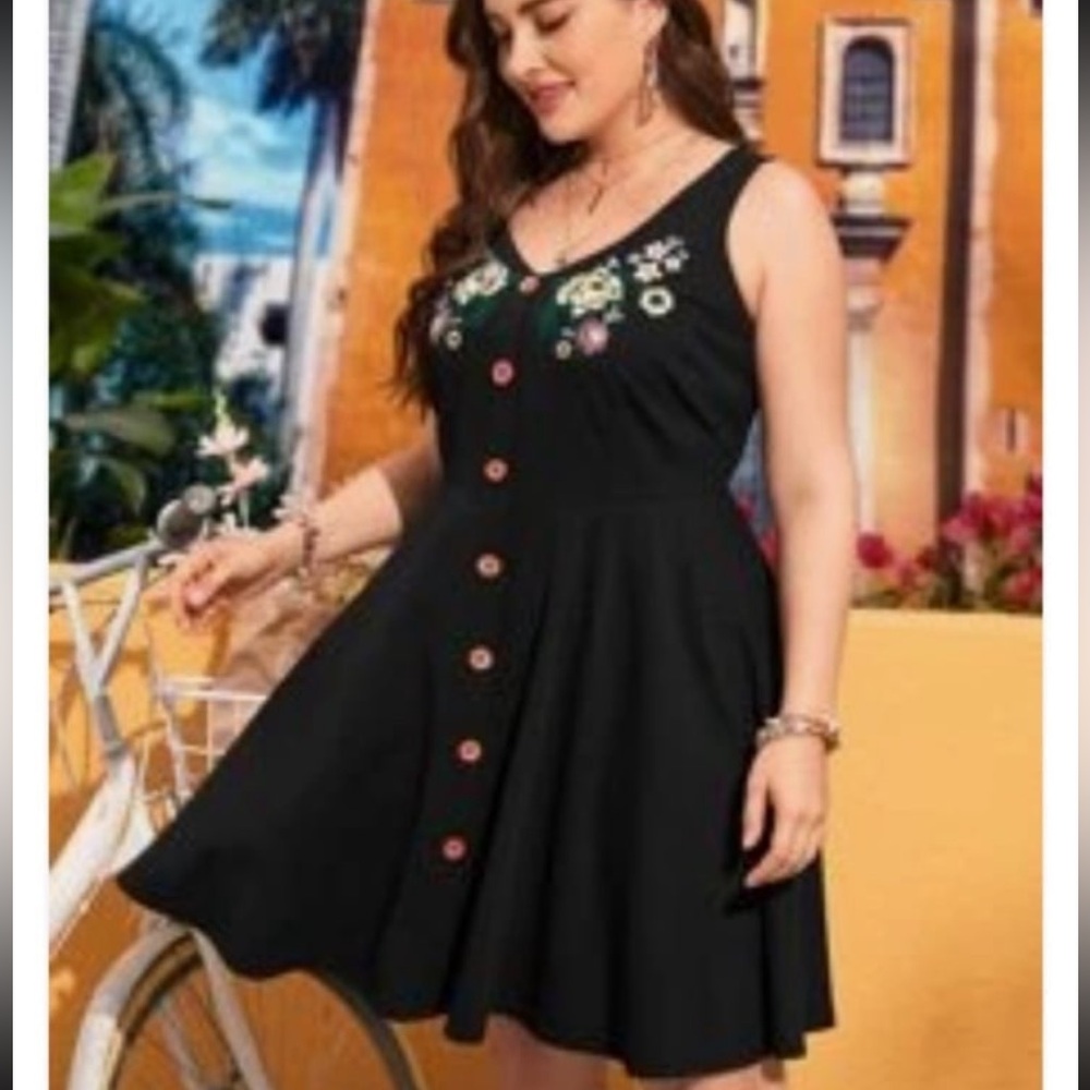 Sleeveless Black Embroidered Skater Dress